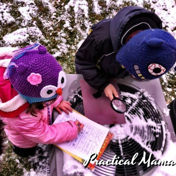 Winter Activity: Snowflake / Snow Crystal Observation